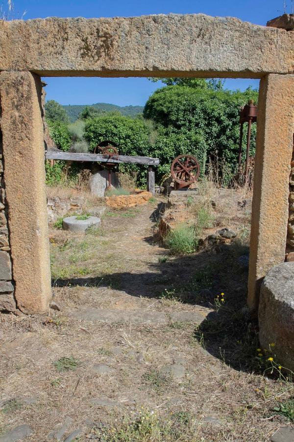 Raices Casa Rural Torre de Don Miguel Exteriör bild
